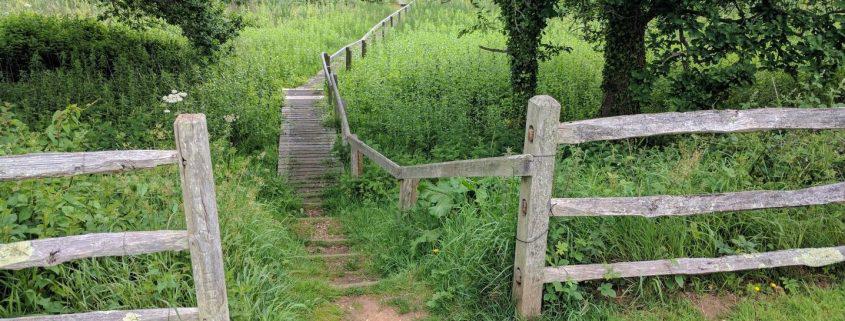 Munsley Bog